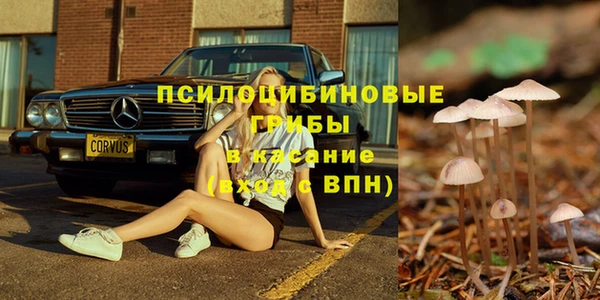 мет Белокуриха