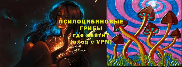 мет Белокуриха