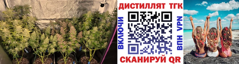 Дистиллят ТГК вейп с тгк  Горняк 
