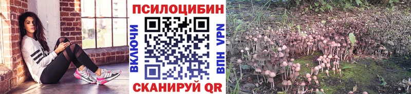 Галлюциногенные грибы ЛСД  Горняк 